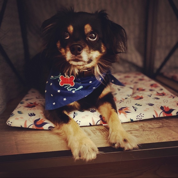 Meet your Posher, Ashley. Instagram: Ashtahfashion - Picture 3 of 7